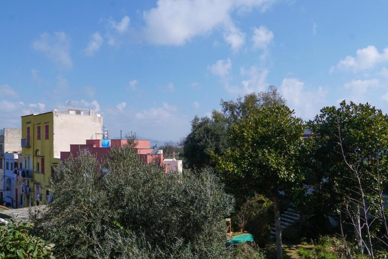 Stella Marina Apartments Procida Esterno foto